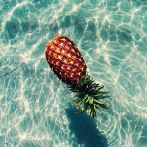 Meet your Posher, Devon